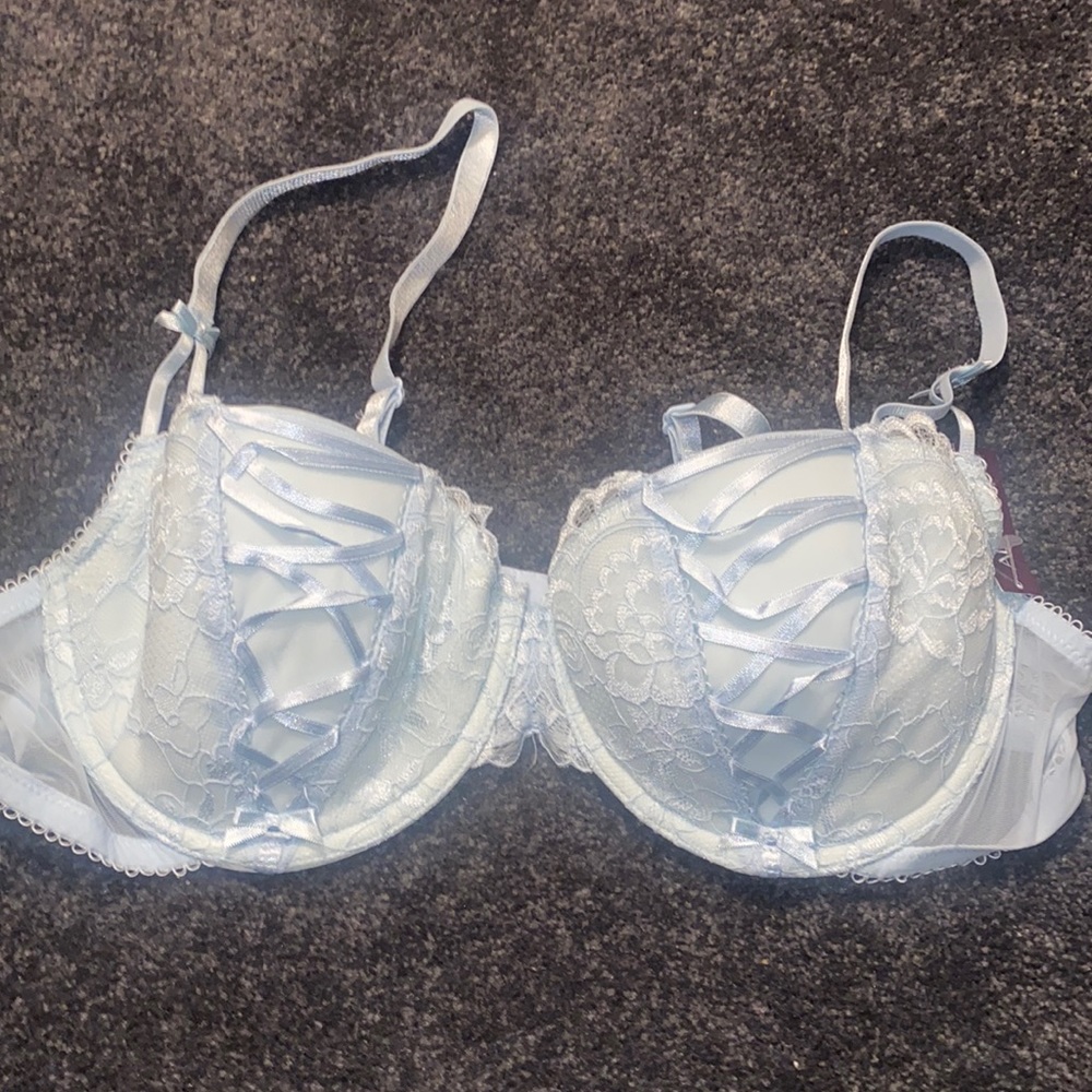 Adore me blue bra